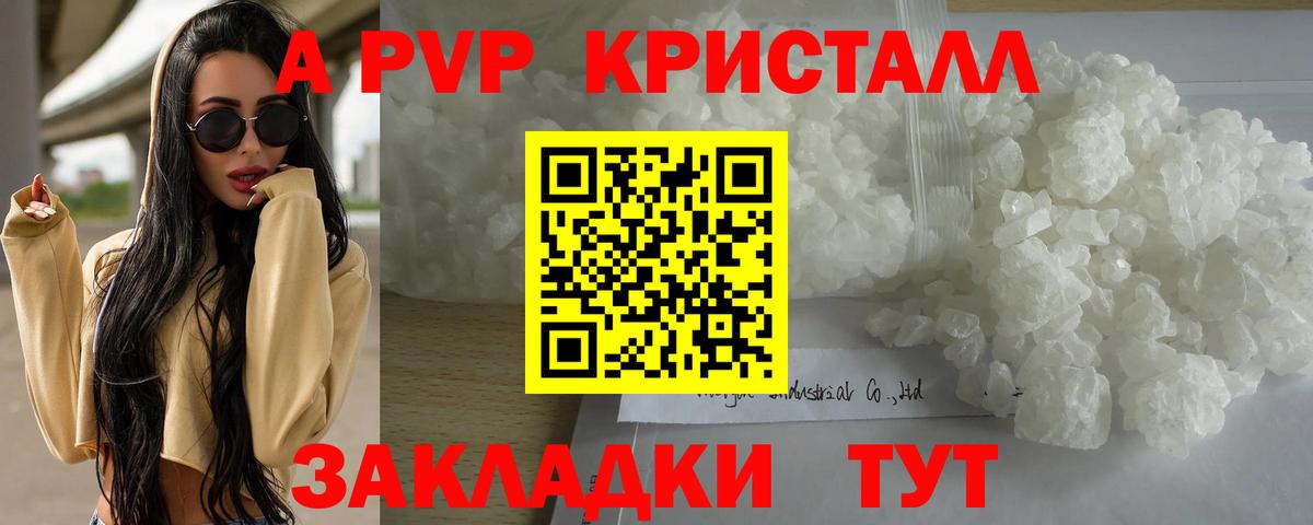 A-PVP СК Шадринск