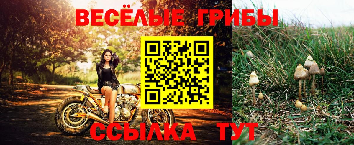 Галлюциногенные грибы прущие грибы Шадринск